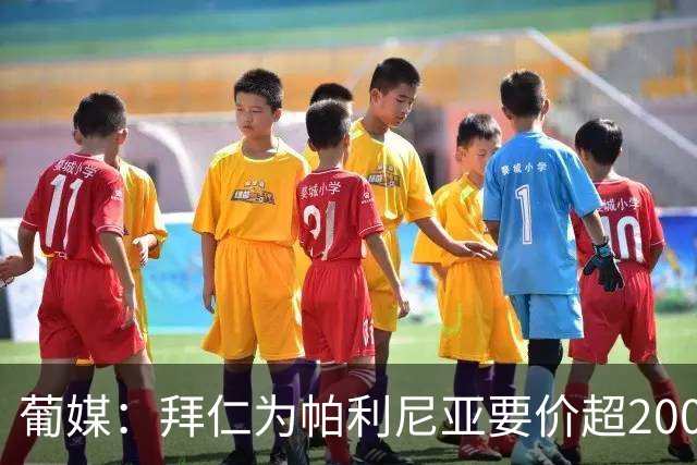 葡媒：拜仁为帕利尼亚要价超2000万欧，葡体不想付超过1500万欧