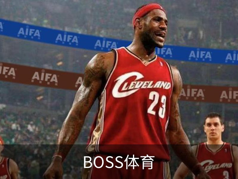 BOSS体育概况
